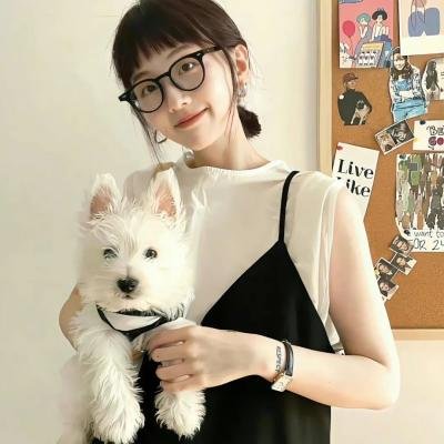 功夫传人之龙拳小子